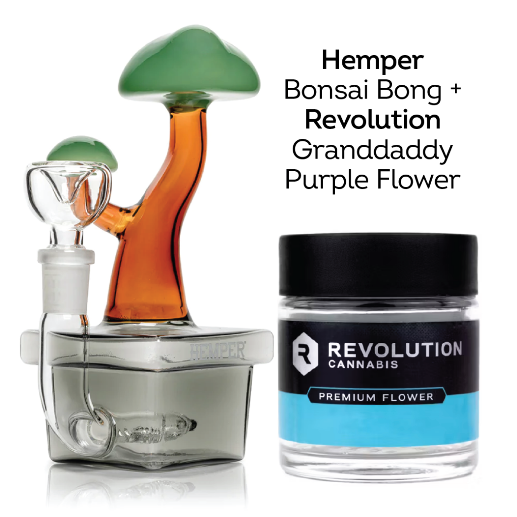 Hemper Bonsai Bong, a tree-inspired glass bong, paired with Revolution Grand Daddy Purple Flower, a popular indica cannabis strain known for sweet berry flavors and relaxing effects. Perfect for cannabis enthusiasts seeking a zen-like smoking experience.